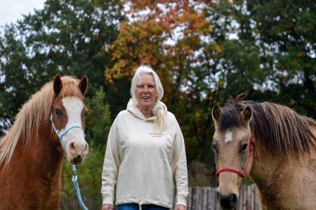 ponyreiten-eersel-noord-brabant